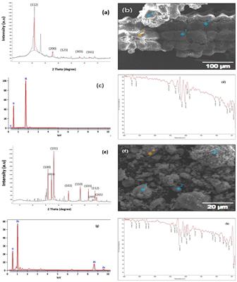 Response of Salvia officinalis to zinc and silicon nanoparticles and pollen extract as alternates to traditional fertilizers